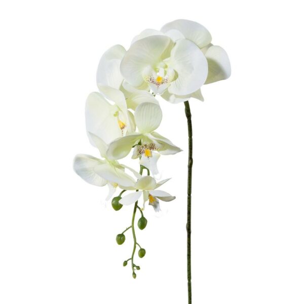 Umelá Orchidea biela, 86 cm 305303-50 - kvetinová výzdoba kostola, vyzdoba kostola na 1 sv prijimanie, vyzdoba kostola svadba, vyzdoba kostola na svadbu, vyzdoba lavic v kostole, výzdoba kostola na prvé sväté prijímanie, svadobna vyzdoba do kostola, vyzdoba do kostola, výzdoba kostola na birmovku, prvé sväté prijímanie vyzdoba kostola, svadobna vyzdoba kostola, vyzdoba v kostole, vyzdoba kostola na prijimanie, kvetinova vyzdoba kostola, svadobna vyzdoba v kostole, vyzdoba kostol, vyzdoba kostola svadobna, výzdoba kostola prvé sväté prijímanie