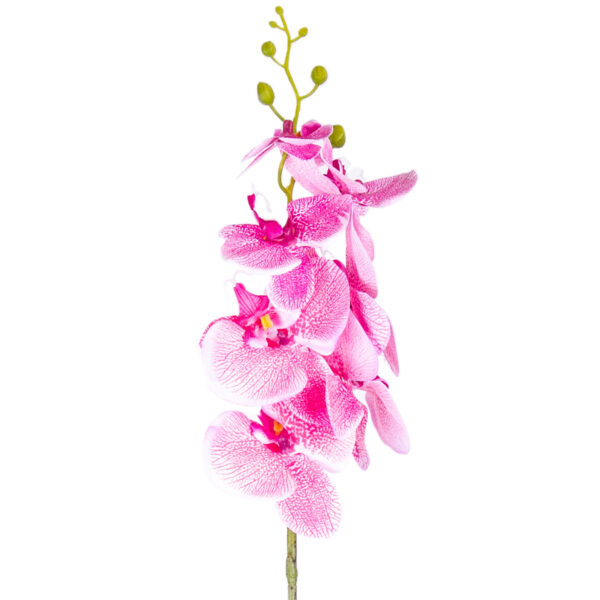 Umelá Orchidea tm. ružová, 86 cm - kvetinová výzdoba kostola, vyzdoba kostola na 1 sv prijimanie, vyzdoba kostola svadba, vyzdoba kostola na svadbu, vyzdoba lavic v kostole, výzdoba kostola na prvé sväté prijímanie, svadobna vyzdoba do kostola, vyzdoba do kostola, výzdoba kostola na birmovku, prvé sväté prijímanie vyzdoba kostola, svadobna vyzdoba kostola, vyzdoba v kostole, vyzdoba kostola na prijimanie, kvetinova vyzdoba kostola, svadobna vyzdoba v kostole, vyzdoba kostol, vyzdoba kostola svadobna, výzdoba kostola prvé sväté prijímanie