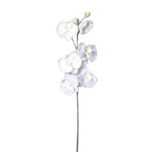 Umelá zasnežená Orchidea biela, 81 cm - kvetinová výzdoba kostola, vyzdoba kostola na 1 sv prijimanie, vyzdoba kostola svadba, vyzdoba kostola na svadbu, vyzdoba lavic v kostole, výzdoba kostola na prvé sväté prijímanie, svadobna vyzdoba do kostola, vyzdoba do kostola, výzdoba kostola na birmovku, prvé sväté prijímanie vyzdoba kostola, svadobna vyzdoba kostola, vyzdoba v kostole, vyzdoba kostola na prijimanie, kvetinova vyzdoba kostola, svadobna vyzdoba v kostole, vyzdoba kostol, vyzdoba kostola svadobna, výzdoba kostola prvé sväté prijímanie